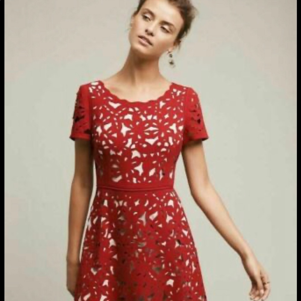 Anthropologie Laser Cut A Line Dress